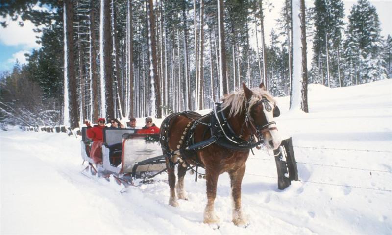 ホテル Station House Inn South Lake Tahoe, By Oliver