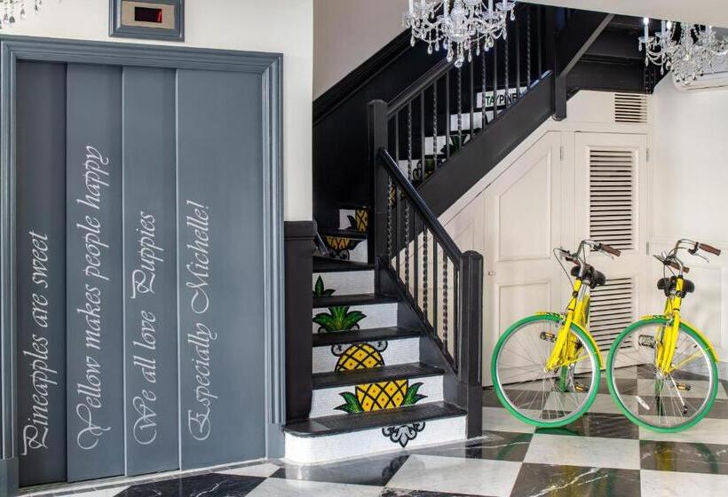 Staypineapple, A Delightful Hotel, South End