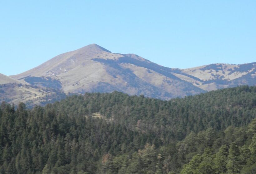 فندق Swiss Chalet Inn