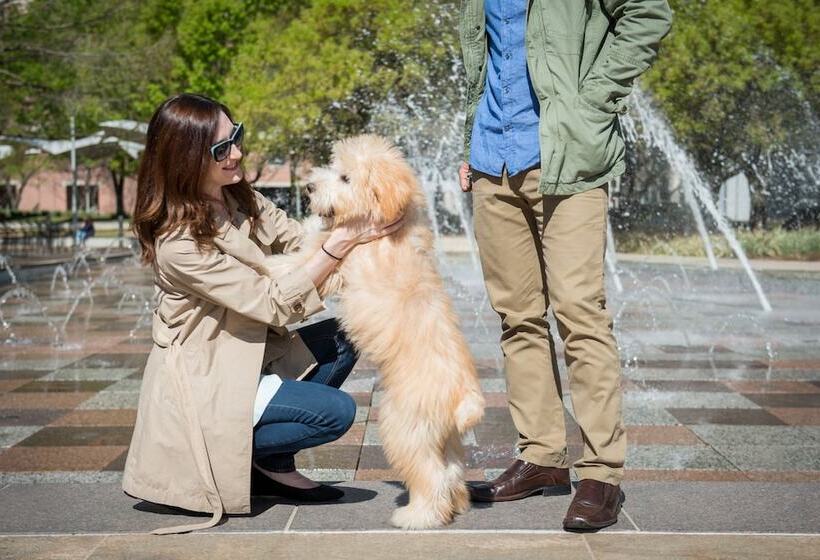 Отель The Beeman