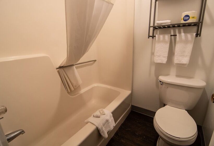 Отель Lookout Mountain Lodge