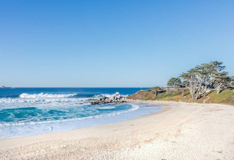 ホテル Le Petit Pali At 8th Ave