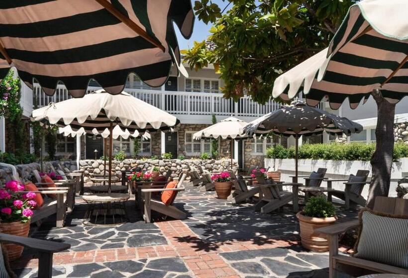 ホテル Le Petit Pali At 8th Ave