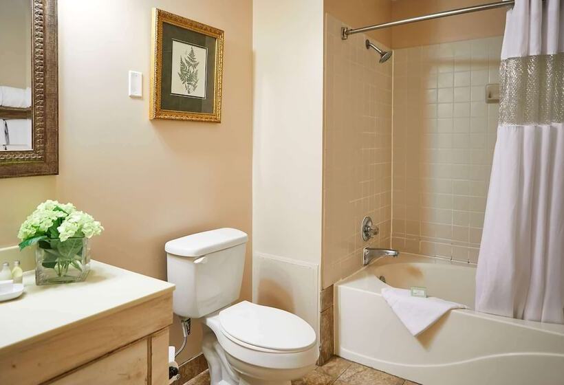 בית מלון כפרי The Historic Brookstown Inn, Trademark Collection By Wyndham