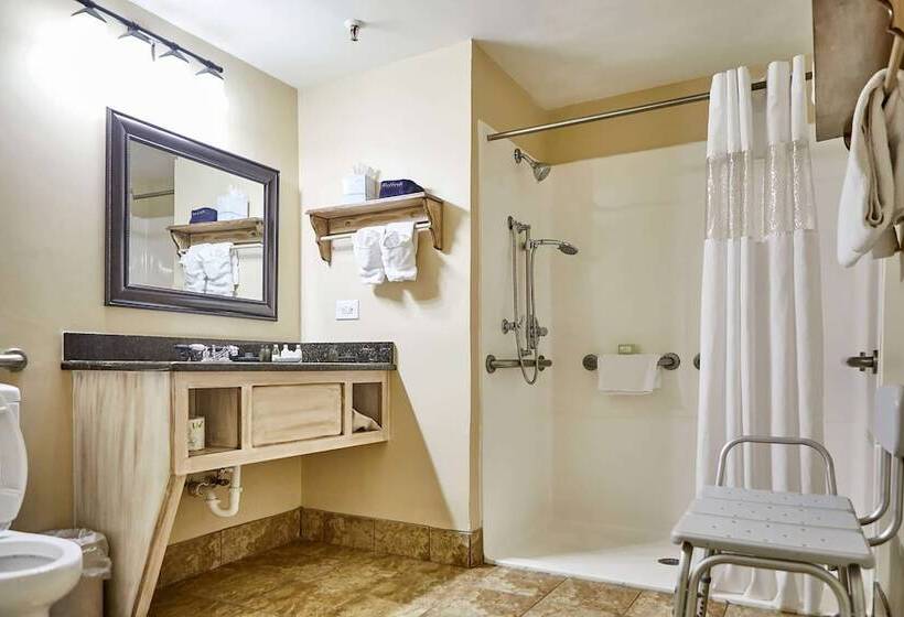 בית מלון כפרי The Historic Brookstown Inn, Trademark Collection By Wyndham