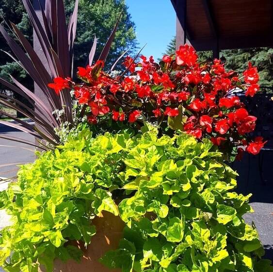 فندق The Inn At Tomichi Village