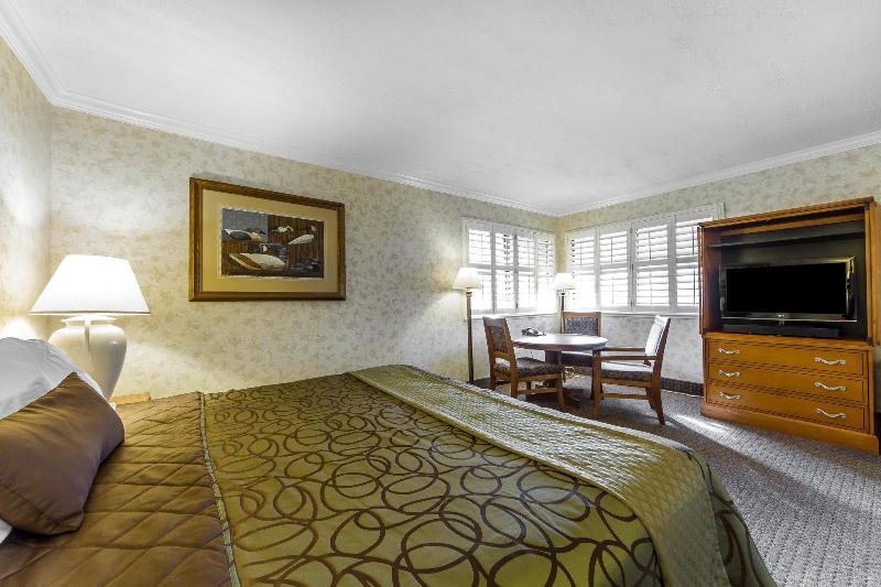 בית מלון כפרי The Vine Inn Davis