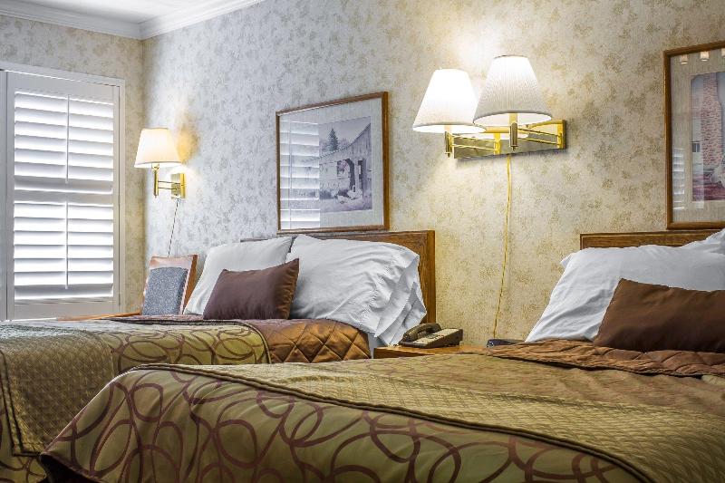 בית מלון כפרי The Vine Inn Davis