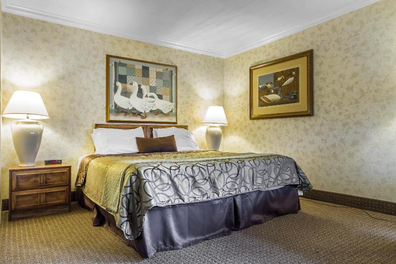 בית מלון כפרי The Vine Inn Davis