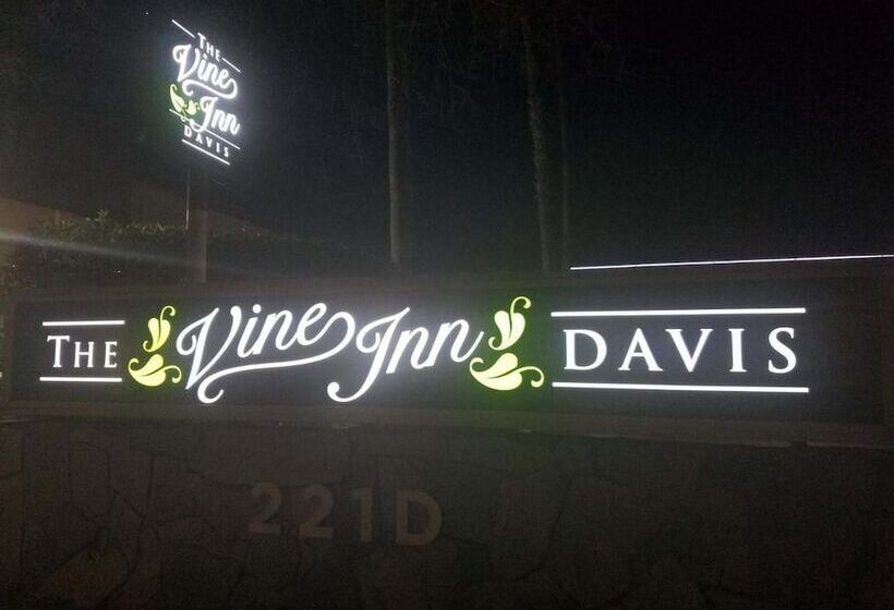 בית מלון כפרי The Vine Inn Davis