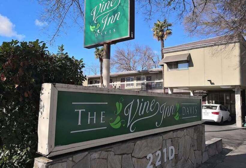 בית מלון כפרי The Vine Inn Davis