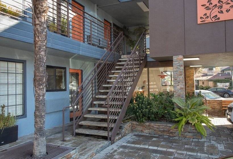 בית מלון כפרי The Vine Inn Davis