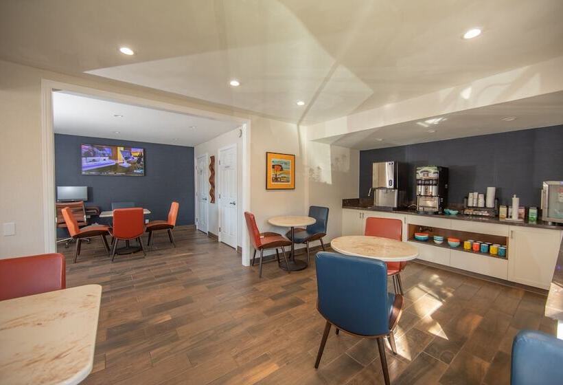 בית מלון כפרי The Vine Inn Davis