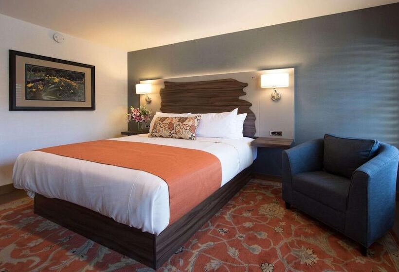 בית מלון כפרי The Vine Inn Davis