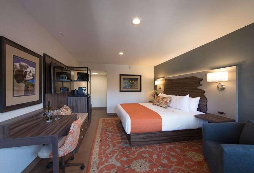 בית מלון כפרי The Vine Inn Davis