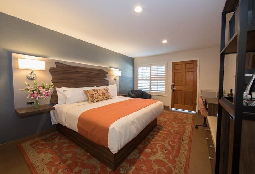 בית מלון כפרי The Vine Inn Davis