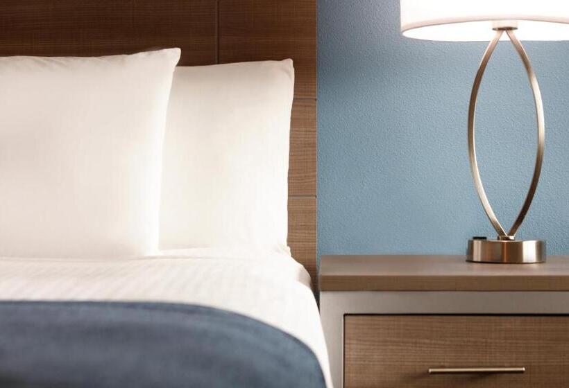 فندق Torch Lite Inn At The Beach Boardwalk