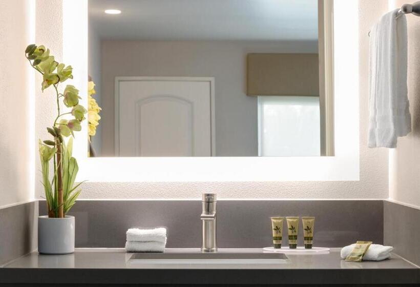 فندق Torch Lite Inn At The Beach Boardwalk