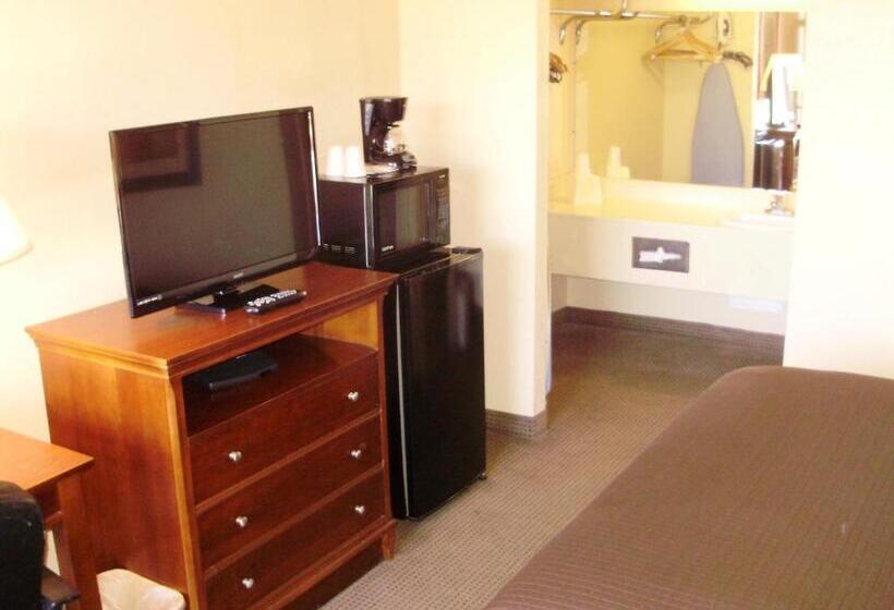 فندق Trade Winds Central Inn