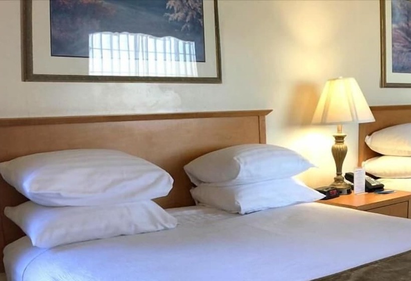 酒店 Trailside Inn