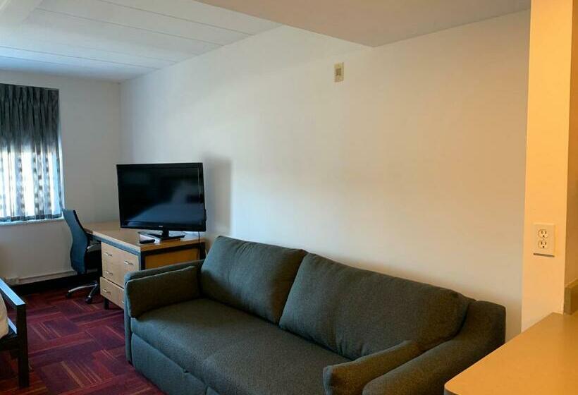 酒店 University Inn