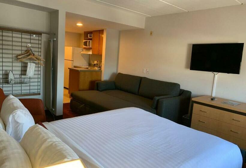 酒店 University Inn