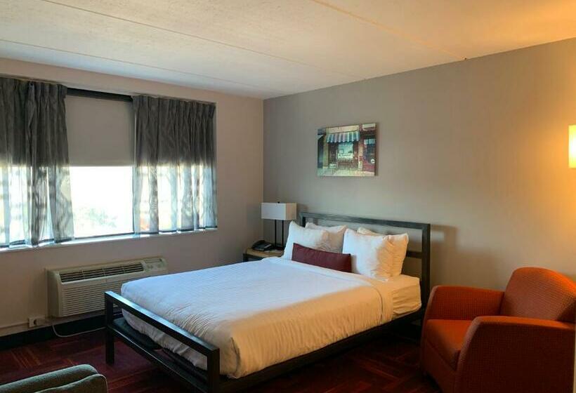 酒店 University Inn