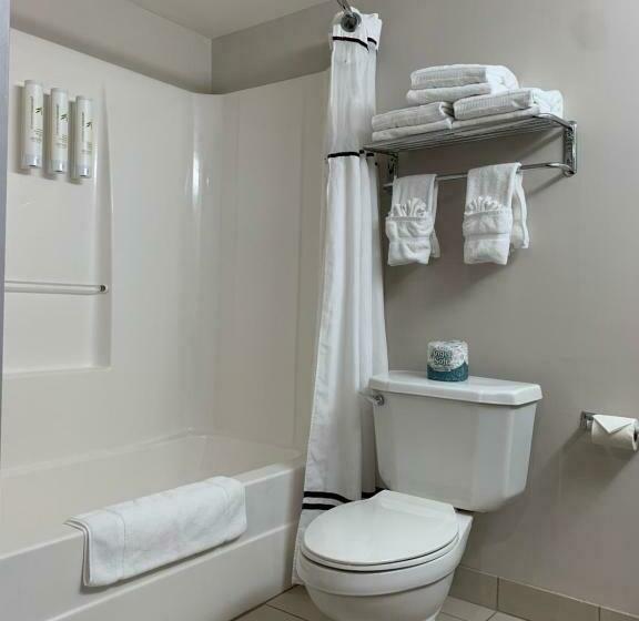 酒店 University Inn