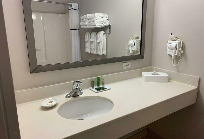 酒店 University Inn