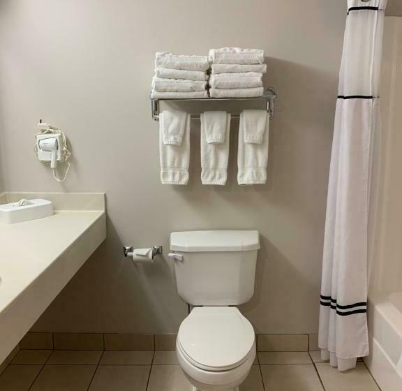 酒店 University Inn