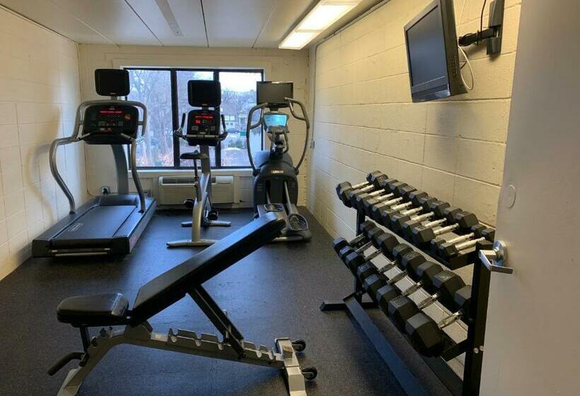 酒店 University Inn