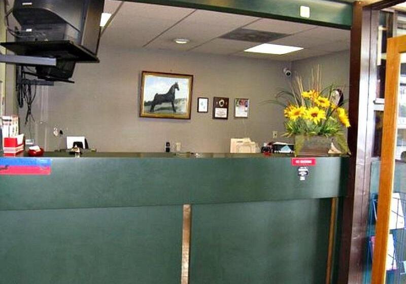 فندق Walking Horse Lodge