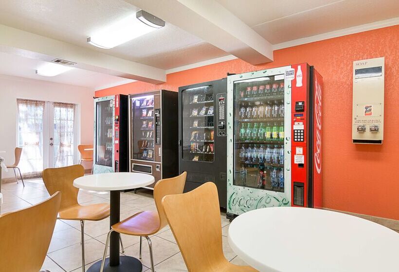 Motel 6 Tampa, Fl   Fairgrounds