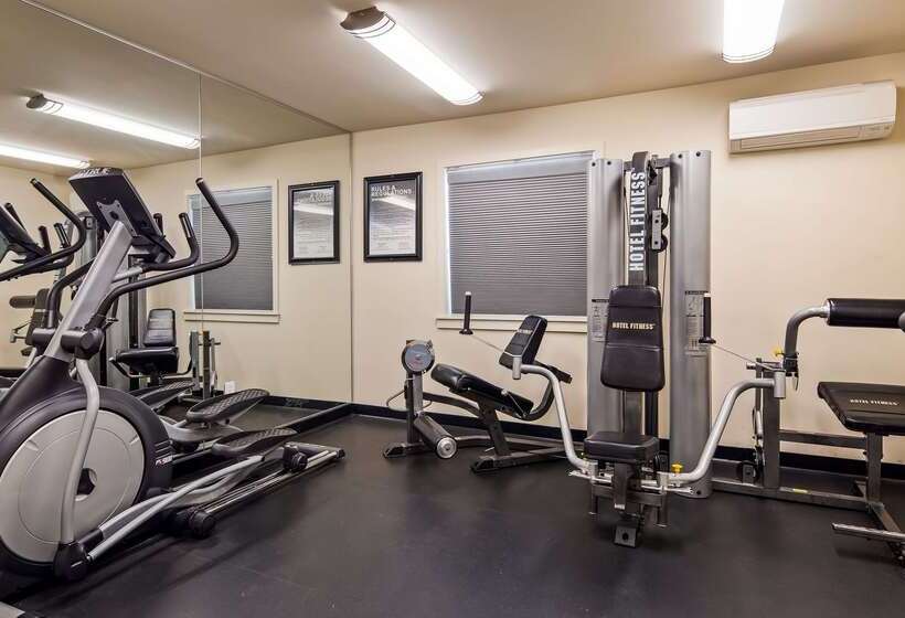 فندق على الطريق Best Western Sandman