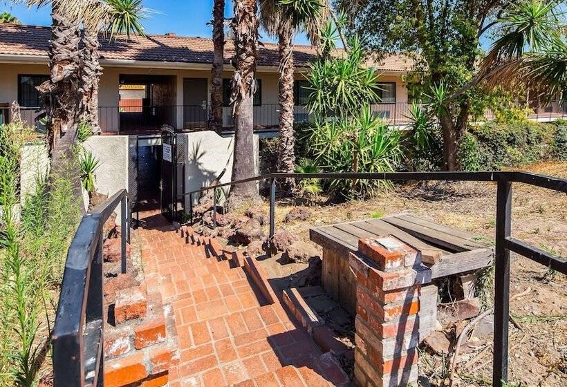 فندق على الطريق Best Western Sandman