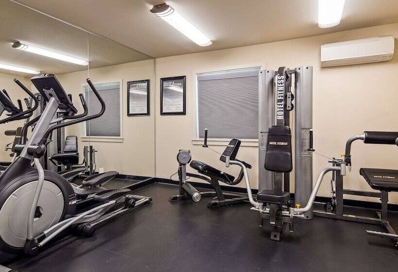 فندق على الطريق Best Western Sandman