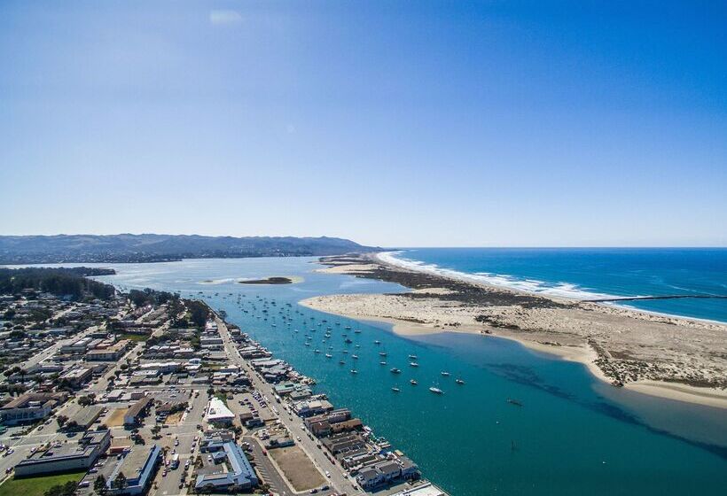 فندق على الطريق Best Western Tradewinds