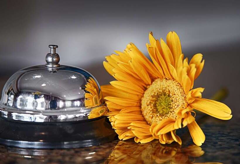 فندق على الطريق Best Western Tradewinds