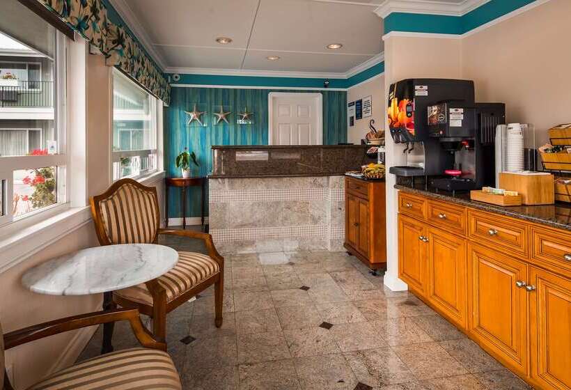 فندق على الطريق Best Western Tradewinds