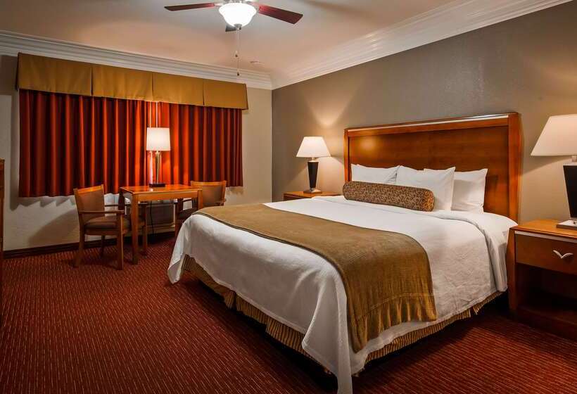 فندق على الطريق Best Western Tradewinds