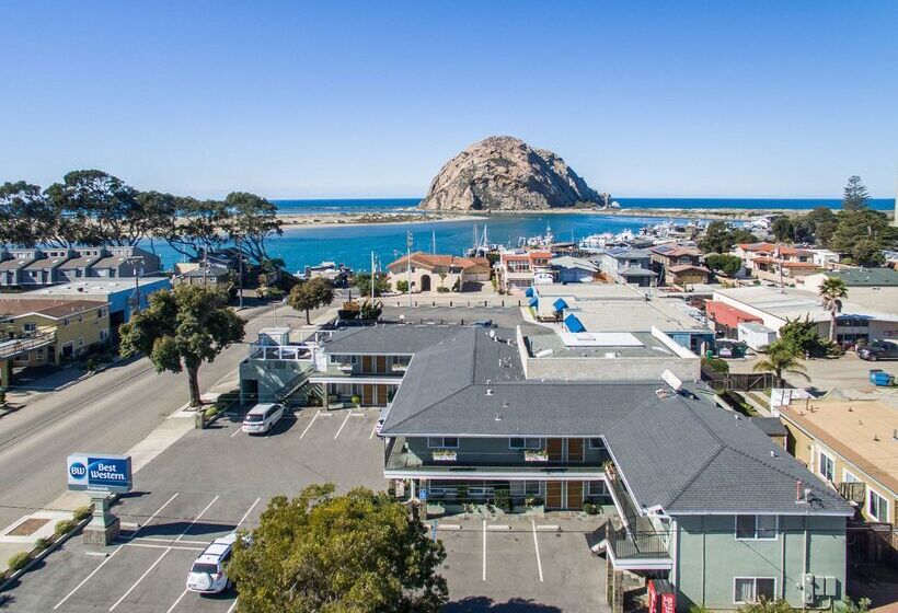 فندق على الطريق Best Western Tradewinds