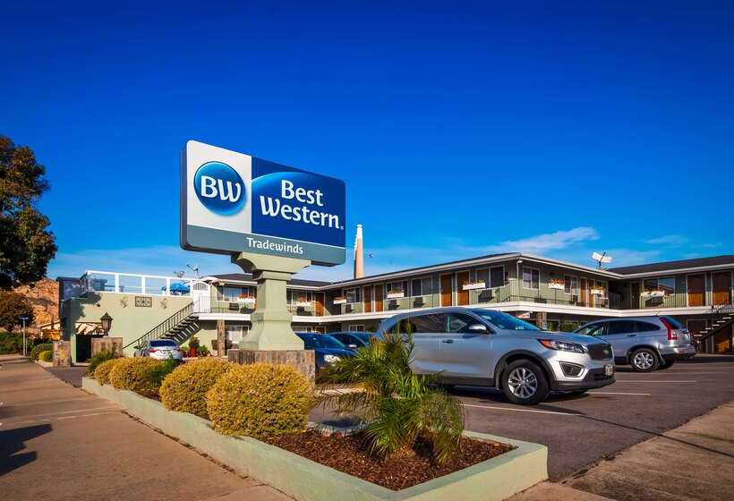 فندق على الطريق Best Western Tradewinds