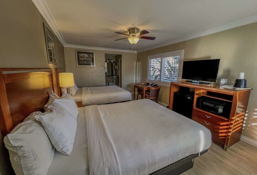 فندق على الطريق Best Western Tradewinds