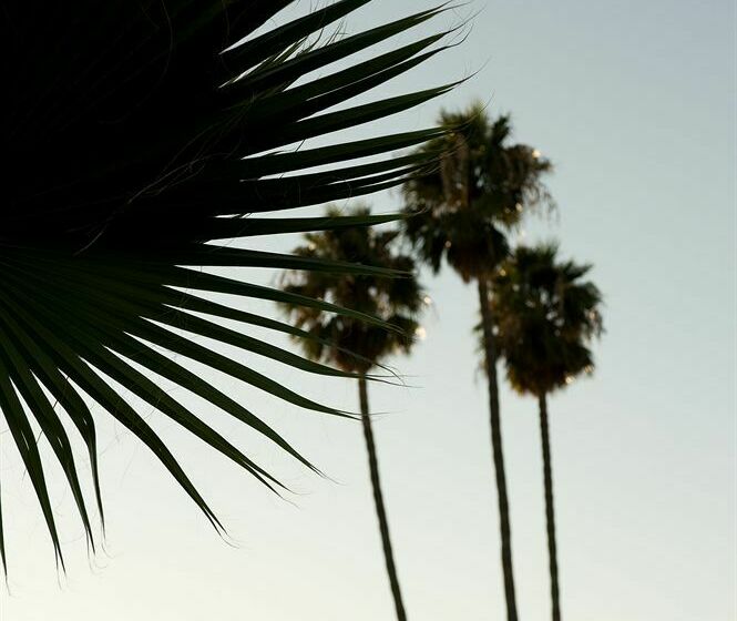 فندق على الطريق San Jose Airport Inn