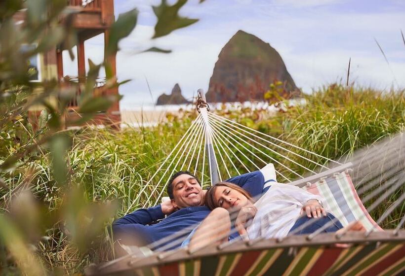 فندق على الطريق Surfsand Resort