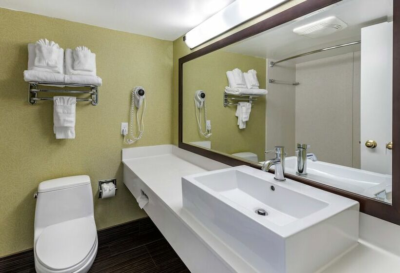 Coastal Hotel & Suites Virginia Beach Oceanfront