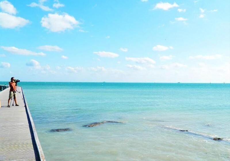 فندق Amsterdam's Curry Mansion Inn