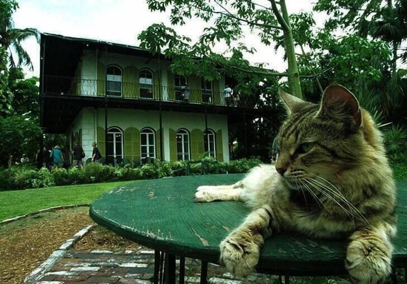 فندق Amsterdam's Curry Mansion Inn