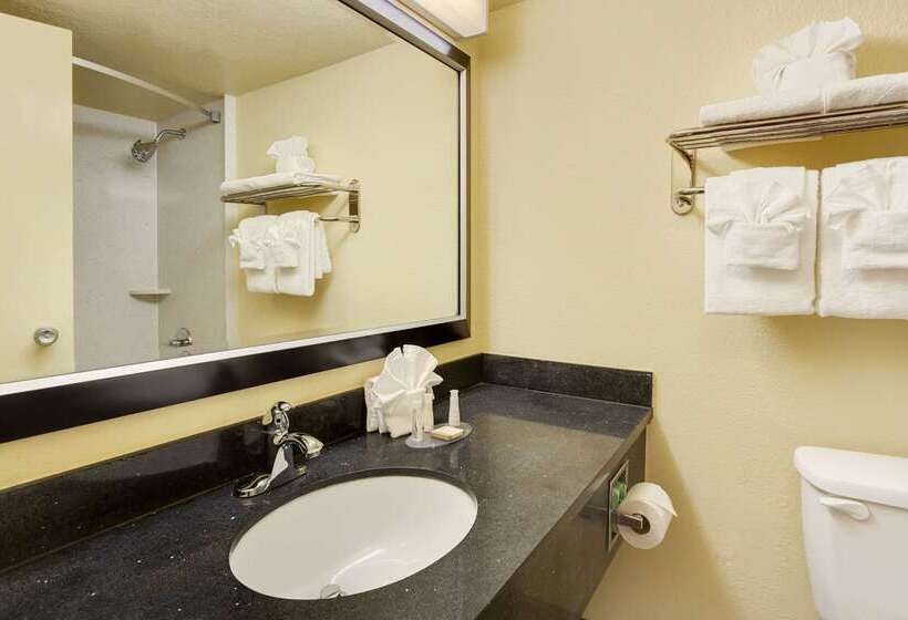 فندق Baymont By Wyndham Charlotteairport Coliseum