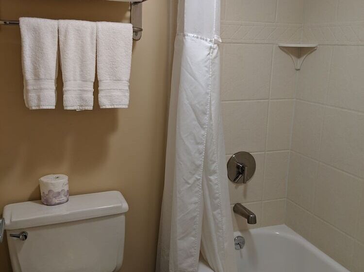 ホテル Best Western Braintree Inn